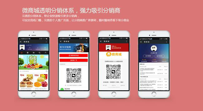 <a href='/fenxiao/' target='_blank'><u>三级分销</u></a>系统